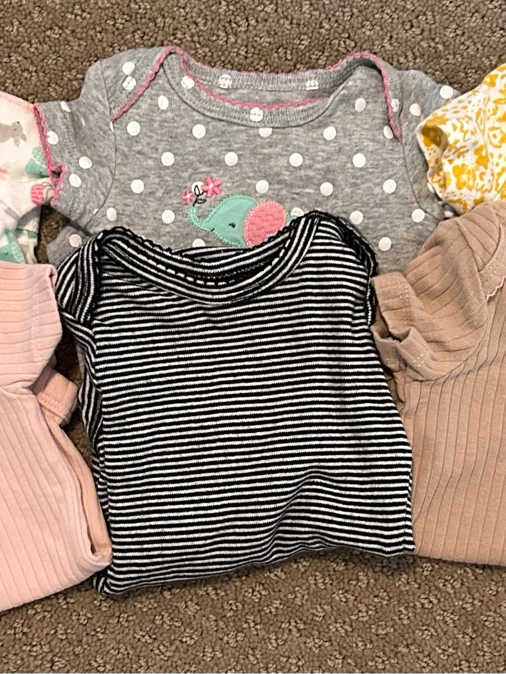 Bundle of 6 Newborn Girls Carter’s Onesies